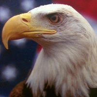 Joel Rogers Photo 15