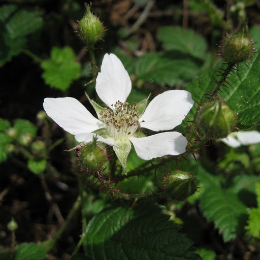 Kathryn Watson Photo 41