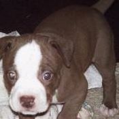 Anna Stafford Photo 22