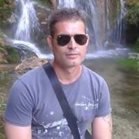 Robin Sparrow Photo 10