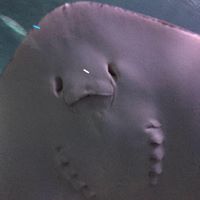 Julie Jankowski Photo 10