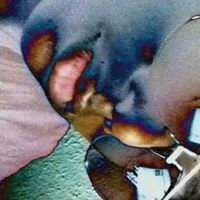 Terry Simmons Photo 22 Terry Simmons Photo 22