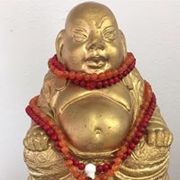 Alexander Craig Photo 24