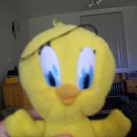 Michelle Gay Photo 34