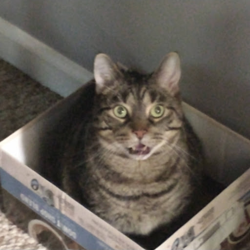 Mike Ballard Photo 14