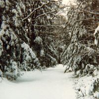 Judy Bergeron Photo 15