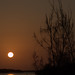 Dawn Leach Photo 11