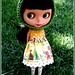 Linda Bonnet Photo 9