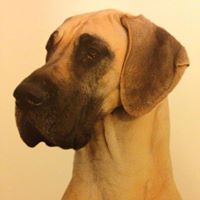 Catherine Gilbert Photo 30 Catherine Gilbert Photo 30