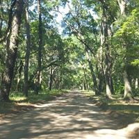 Kathy Frazer Photo 22