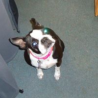 Jane Lockhart Photo 8