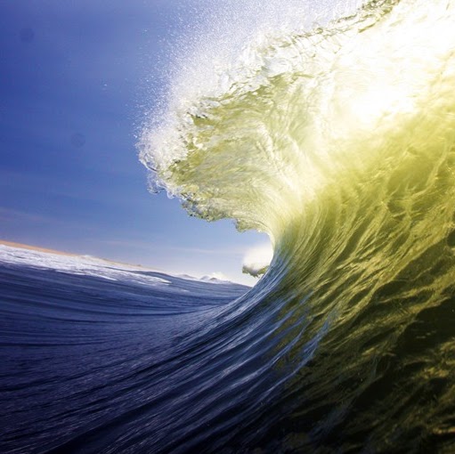 Elizabeth Bloom Photo 7