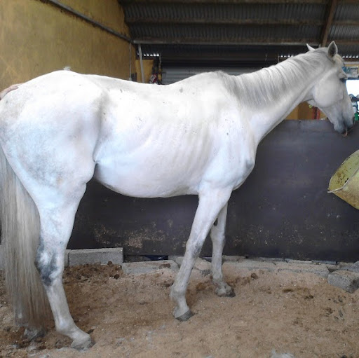 Thomas Potter Photo 30 Thomas Potter Photo 30