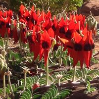 Janet Whitlock Photo 6