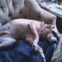 Nancy Reinhardt Photo 23