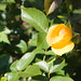 Julia Longo Photo 26