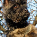 Lisa Brindle Photo 7