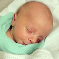 Rachel Shepard Photo 20