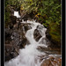 Steven Murdock Photo 24