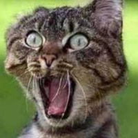 Kevin Weber Photo 15