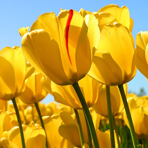 Alicia Macias Photo 40