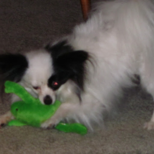 Kathleen Pearse Photo 5