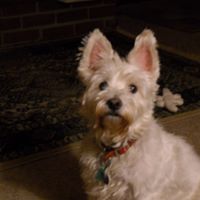 Carole Winters Photo 15