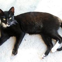 Julie Brewster Photo 35