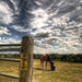 James Paddock Photo 8