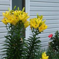 Joan Welch Photo 28