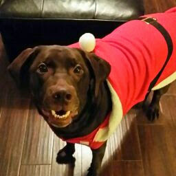 Marilyn Brooks Photo 37