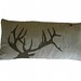 Lino Elk Photo 10