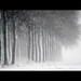 Daniel Weiland Photo 34