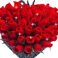 Abdul Habib Photo 15