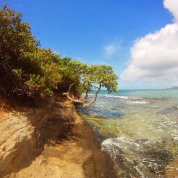 Alexandra Richardson Photo 12