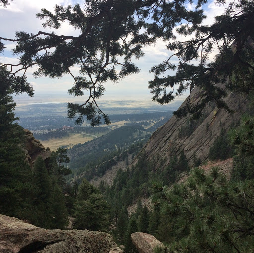 Jennifer Wheeler Photo 19