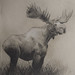 Edwin Lee Photo 61