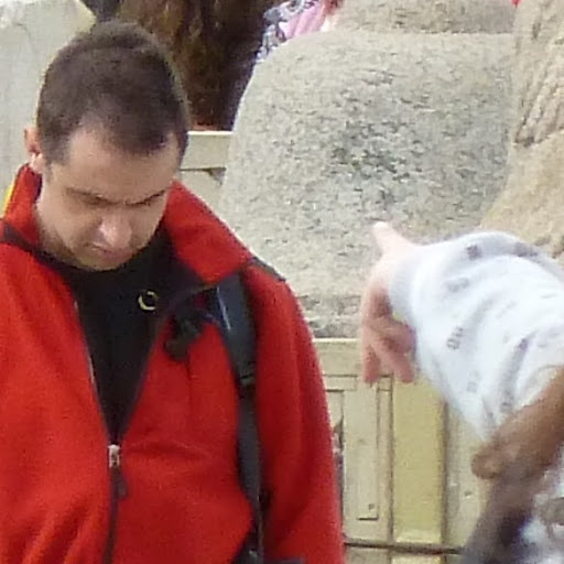 Sean Mitchell Photo 15