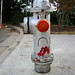Matthew Rodriguez Photo 20