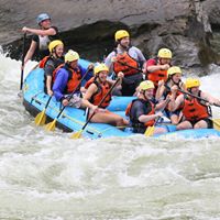 Dawn Carlson Photo 21