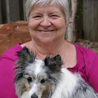 Linda Schaefer Photo 11