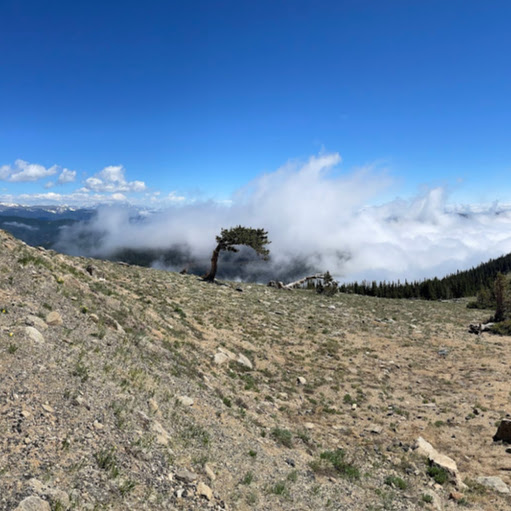 Bruce Houser Photo 2