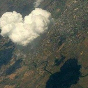 Megan Newsom Photo 20