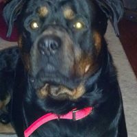 Kathleen Ritchie Photo 30