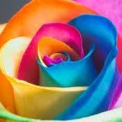 Crystal Short Photo 32