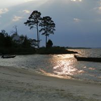 Rhonda Gardner Photo 31