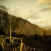 Quinton Brown Photo 37