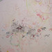 Michelle Houser Photo 31
