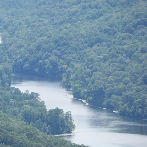 Cheryl Wells Photo 22