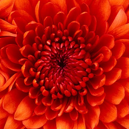 Gail Blackburn Photo 9